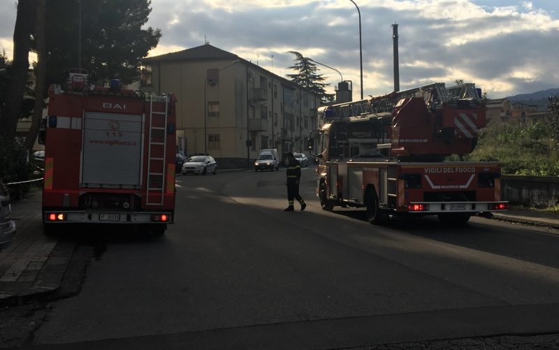 Giarre, quartiere Satellite: vigili del fuoco rimuovono ramo pericolante
