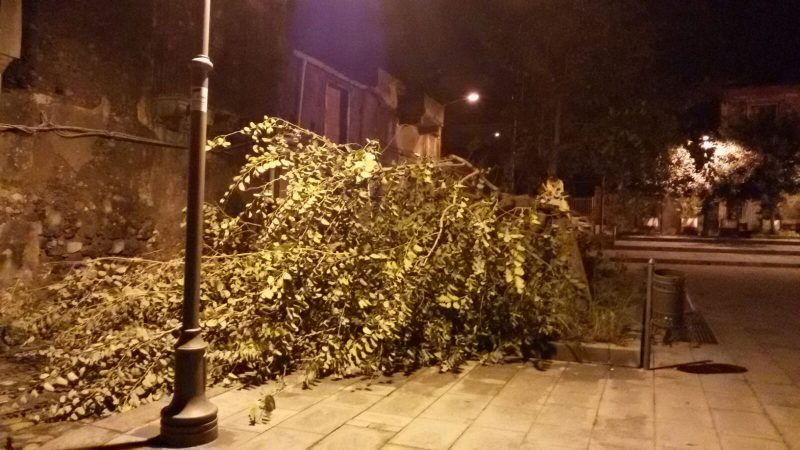 Giarre, raffiche di vento hanno abbattuto un albero in piazza De Andrè