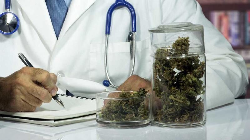 Uso terapeutico della Cannabis: dalla Sicilia parte un progetto