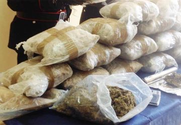 Andrea Nizza e il suo business milionario: ogni giorno un fiume di denaro. Incassi per 80.000 euro al giorno