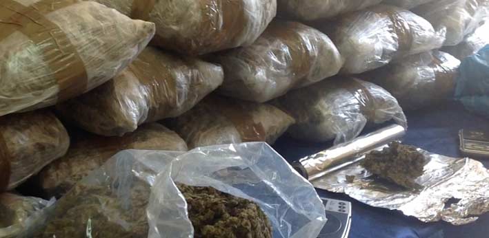 Traffico di droga dall’Albania, 15 arresti tra Puglia e Sicilia VIDEO