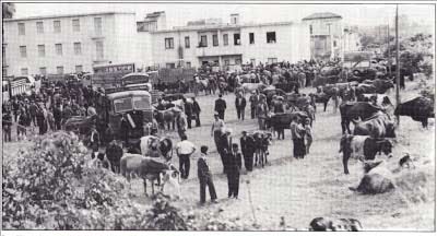 Mascali: salta la storica fiera del bestiame