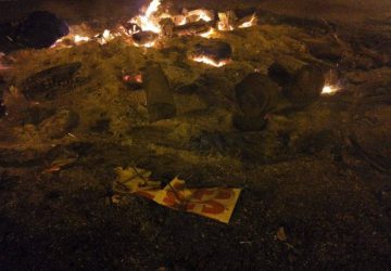 Comitato cittadino ospedale: bruciati i manifesti nel ceppo natalizio