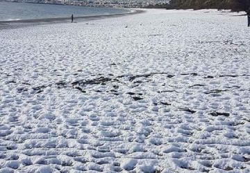 Emergenza neve. Il sindaco di Mascali, attiva il Coc: "Non uscite con le auto"  FOTO
