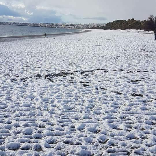 Emergenza neve. Il sindaco di Mascali, attiva il Coc: “Non uscite con le auto”  FOTO