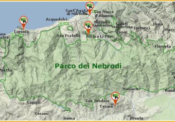 Macellazione clandestina nei Nebrodi: 50 indagati, 11 arresti e 18 obblighi di dimora