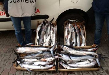 Riposto, contrasto pesca illegale: 10.000 euro di sanzione