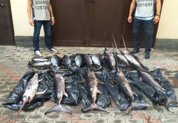 Riposto: sequestro di pesce spada, tonno rosso e novellame. Sanzioni per 22.500 euro