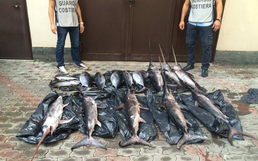 Riposto: sequestro di pesce spada, tonno rosso e novellame. Sanzioni per 22.500 euro