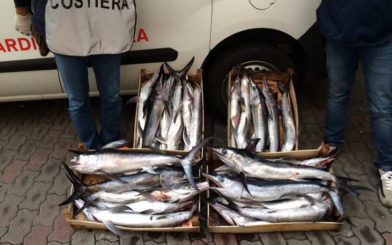 Riposto, contrasto pesca illegale: 10.000 euro di sanzione
