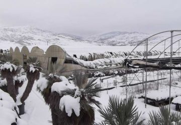 Neve e agricoltura: il sindaco Metropolitano Bianco chiede lo stato di emergenza