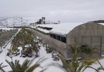 Emergenza neve: &ldquo;danni gravissimi alle colture, ci sono gli estremi interventi straordinari&rdquo;