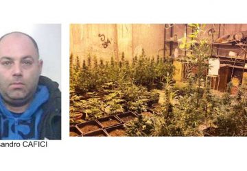 Garage trasformato in vivaio di &ldquo;canapa indiana&rdquo;: arrestato 37enne